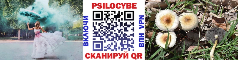 Галлюциногенные грибы Cubensis Липки